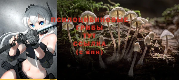 ALPHA PVP Володарск